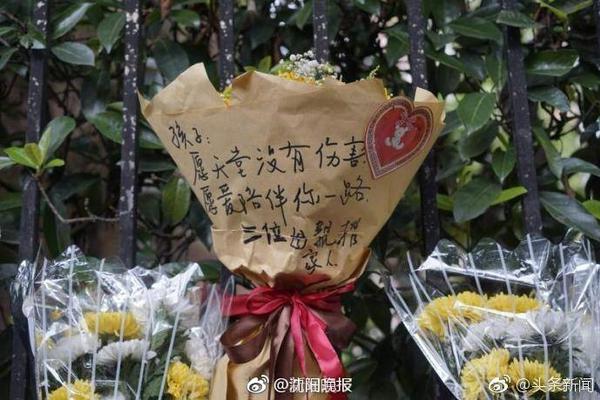 甜😍阳光+大海+沙滩+狗狗，若奥